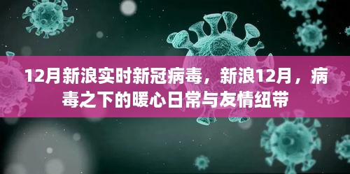 新浪12月，病毒下的暖心日常與友情紐帶，實(shí)時(shí)新冠病毒報(bào)道