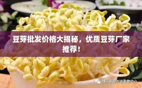 豆芽批發(fā)價格大揭秘，優(yōu)質(zhì)豆芽廠家推薦！