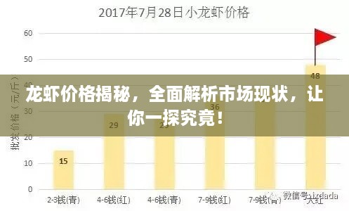 龍蝦價格揭秘，全面解析市場現(xiàn)狀，讓你一探究竟！