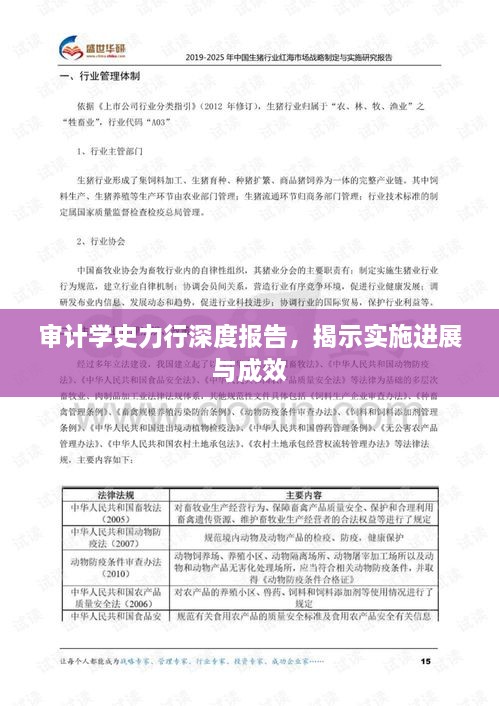 審計學(xué)史力行深度報告，揭示實施進展與成效