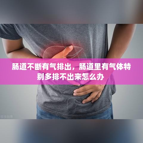 腸道不斷有氣排出，腸道里有氣體特別多排不出來(lái)怎么辦 