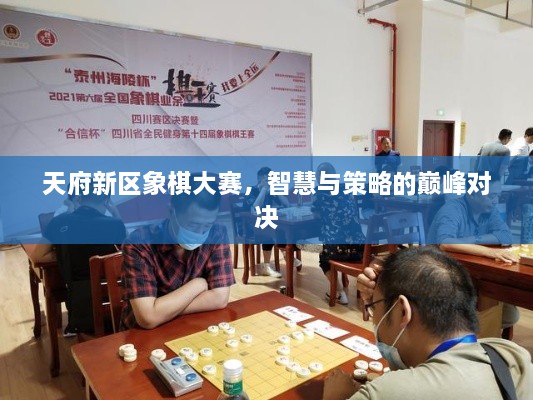 天府新區(qū)象棋大賽，智慧與策略的巔峰對(duì)決