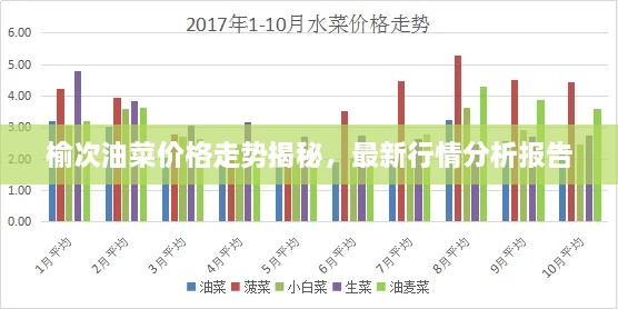 榆次油菜價(jià)格走勢(shì)揭秘，最新行情分析報(bào)告