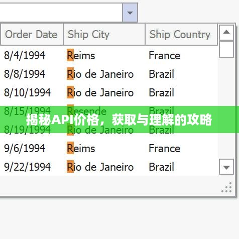 揭秘API價(jià)格，獲取與理解的攻略