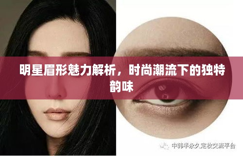 明星眉形魅力解析，時(shí)尚潮流下的獨(dú)特韻味