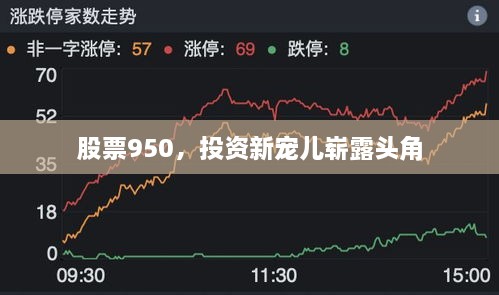 股票950，投資新寵兒嶄露頭角