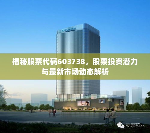 揭秘股票代碼603738，股票投資潛力與最新市場(chǎng)動(dòng)態(tài)解析