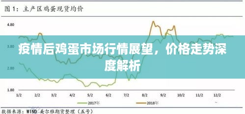 疫情后雞蛋市場(chǎng)行情展望，價(jià)格走勢(shì)深度解析