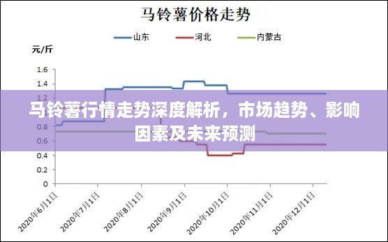 馬鈴薯行情走勢深度解析，市場趨勢、影響因素及未來預(yù)測