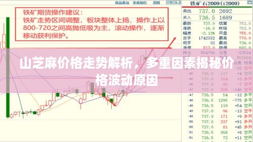 山芝麻價(jià)格走勢解析，多重因素揭秘價(jià)格波動(dòng)原因