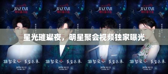 星光璀璨夜，明星聚會(huì)視頻獨(dú)家曝光