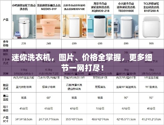 迷你洗衣機(jī)，圖片、價(jià)格全掌握，更多細(xì)節(jié)一網(wǎng)打盡！