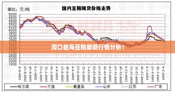 周口益海豆粕最新行情分析！