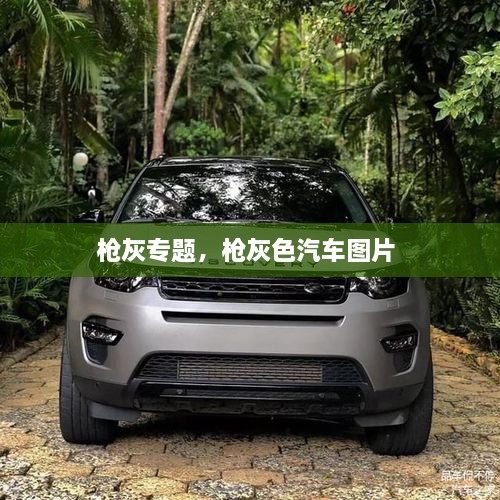 槍灰專題，槍灰色汽車圖片 