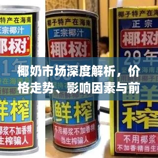 椰奶市場深度解析，價格走勢、影響因素與前景展望