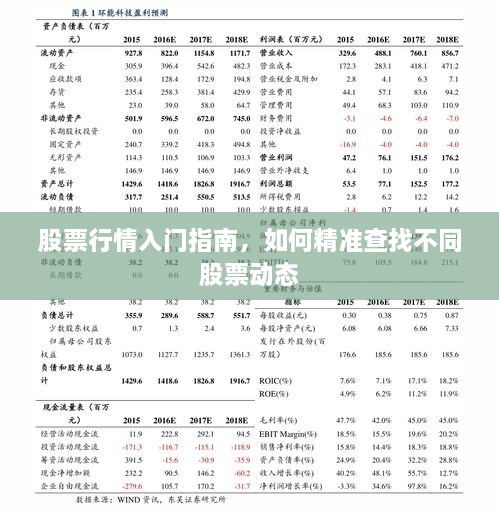 股票行情入門指南，如何精準(zhǔn)查找不同股票動(dòng)態(tài)