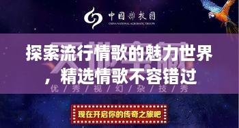 探索流行情歌的魅力世界，精選情歌不容錯(cuò)過(guò)