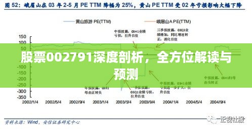 股票002791深度剖析，全方位解讀與預(yù)測