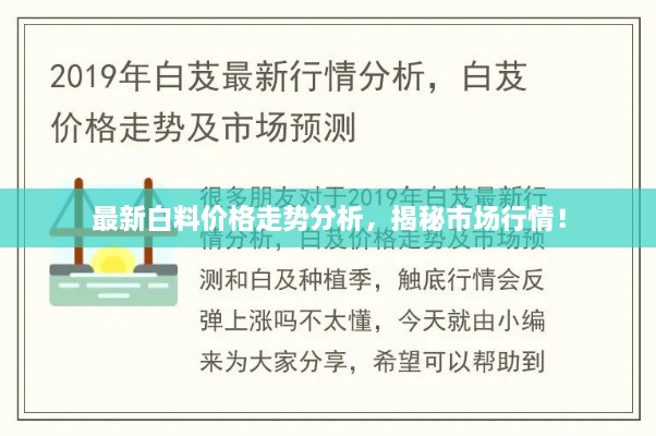 最新白料價格走勢分析，揭秘市場行情！