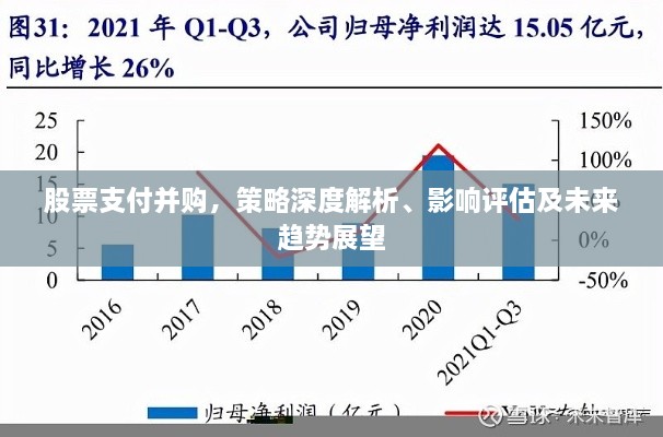 股票支付并購，策略深度解析、影響評估及未來趨勢展望