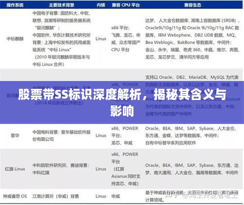 股票帶SS標識深度解析，揭秘其含義與影響