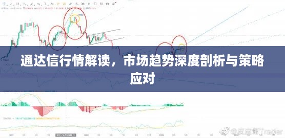 通達(dá)信行情解讀，市場趨勢深度剖析與策略應(yīng)對