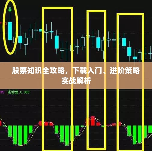 股票知識(shí)全攻略，下載入門、進(jìn)階策略實(shí)戰(zhàn)解析