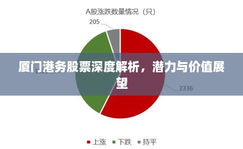 廈門港務(wù)股票深度解析，潛力與價值展望