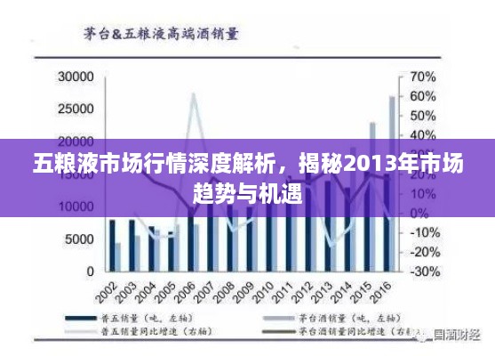 五糧液市場行情深度解析，揭秘2013年市場趨勢與機遇