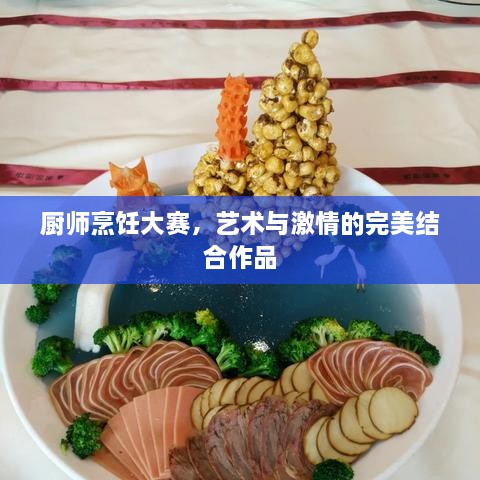 廚師烹飪大賽，藝術(shù)與激情的完美結(jié)合作品