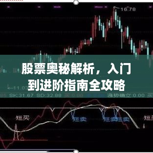 股票奧秘解析，入門到進(jìn)階指南全攻略