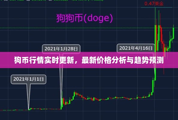 狗幣行情實(shí)時(shí)更新，最新價(jià)格分析與趨勢預(yù)測