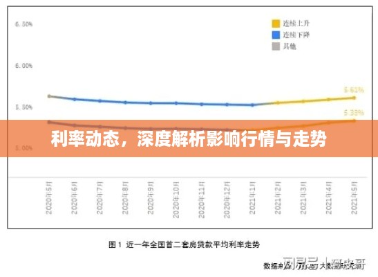 利率動態(tài)，深度解析影響行情與走勢