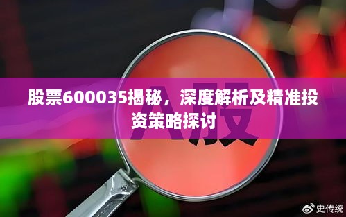 股票600035揭秘，深度解析及精準投資策略探討