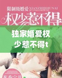 獨家婚愛權(quán)少惹不得txt下載，獨家婚寵免費閱讀全文 