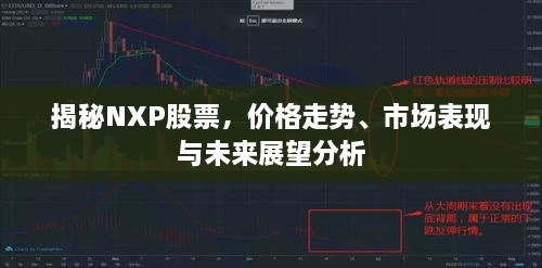 揭秘NXP股票，價格走勢、市場表現(xiàn)與未來展望分析