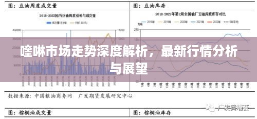 喹啉市場(chǎng)走勢(shì)深度解析，最新行情分析與展望