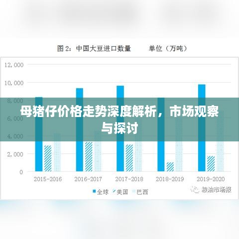 母豬仔價(jià)格走勢(shì)深度解析，市場(chǎng)觀察與探討