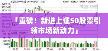 「重磅！新進(jìn)上證50股票引領(lǐng)市場新動力」