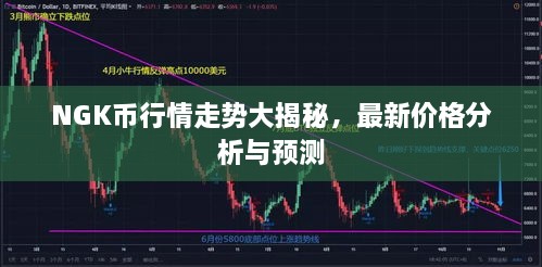 NGK幣行情走勢大揭秘，最新價格分析與預(yù)測