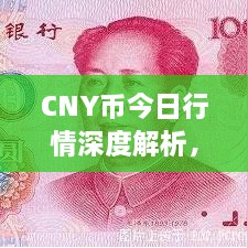 CNY幣今日行情深度解析，最新價(jià)格動態(tài)一網(wǎng)打盡！