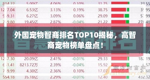 外國(guó)寵物智商排名TOP10揭秘，高智商寵物榜單盤點(diǎn)！