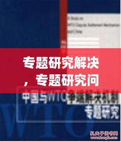 專題研究解決，專題研究問(wèn)題 