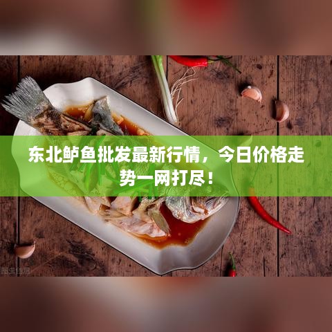 東北鱸魚批發(fā)最新行情，今日價(jià)格走勢(shì)一網(wǎng)打盡！