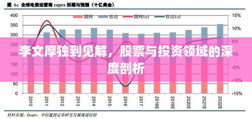 李文厚獨到見解，股票與投資領域的深度剖析