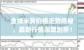 金線米黃價(jià)格走勢(shì)揭秘，最新行情深度剖析！