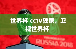 世界杯 cctv獨家，衛(wèi)視世界杯 