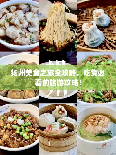 揚(yáng)州美食之旅全攻略，吃貨必看的旅游攻略！