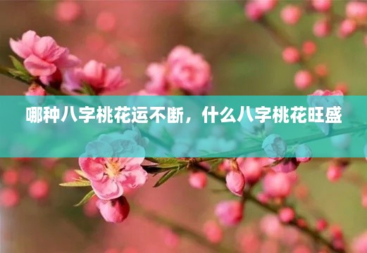 哪種八字桃花運(yùn)不斷，什么八字桃花旺盛 