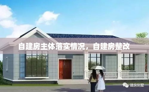 自建房主體落實情況，自建房整改 